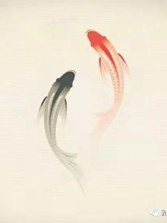 南家三姐妹第一季