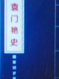 袁门艳史
