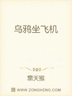 乌鸦坐飞机