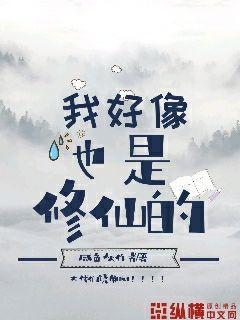 陆远夏岚小说免费阅读电子书封面