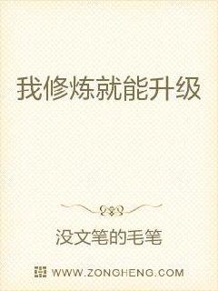 小影霸显卡驱动