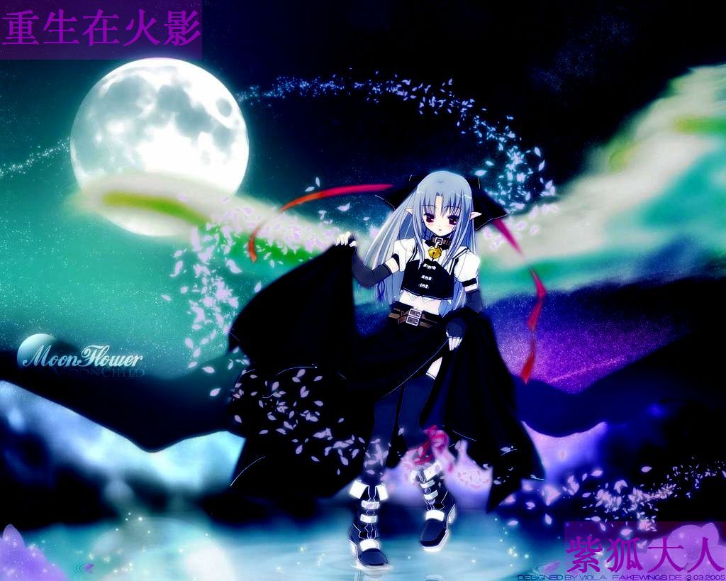 迹部景吾的宝贝妹妹