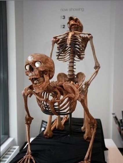 死亡笔记之救世主,不死之王,最新原创独家首发