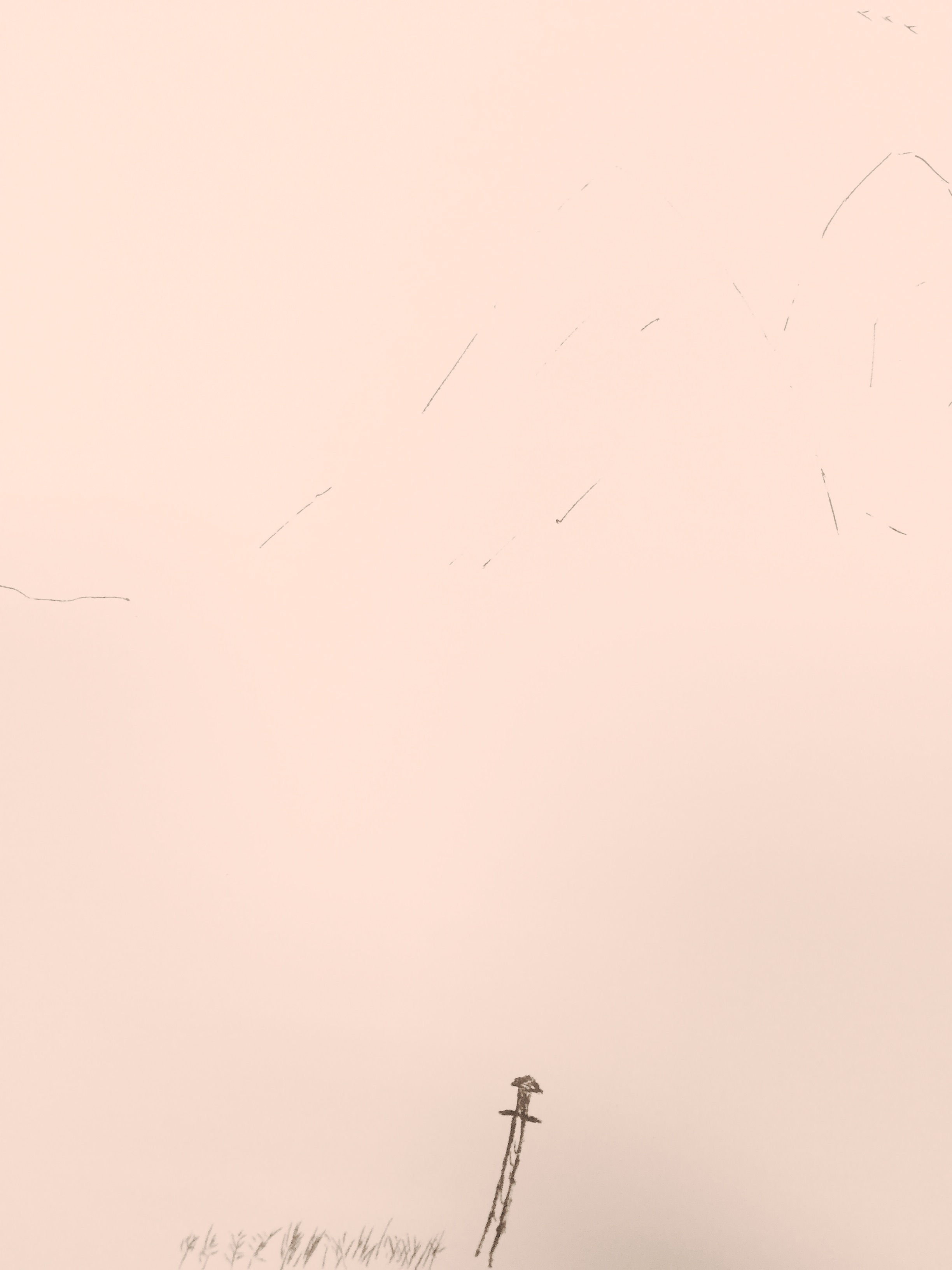 问鼎江湖录无弹窗,问鼎江湖录最新章节全文阅