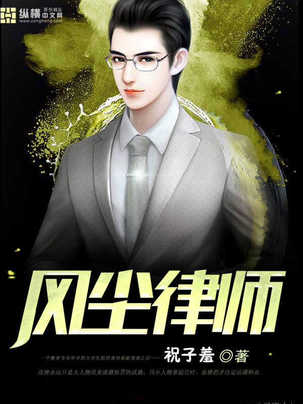 风尘律师