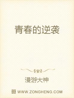 中国社会工作研究（第 10 辑）