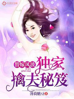 替嫁风波:独家擒夫秘笈