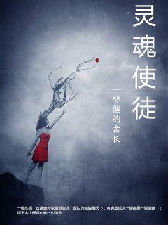 灵魂使徒