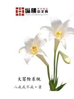 大冒险系统