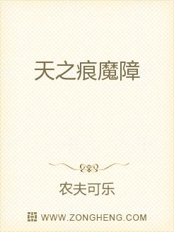 天之痕魔障