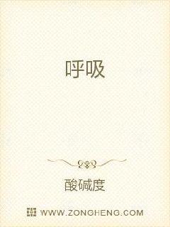 小说上门龙婿叶辰完整版免费阅读电子书封面