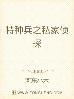 特种兵之私家侦探