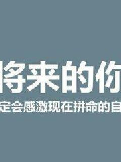完美的人生