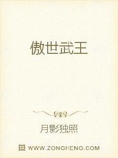 傲世武王