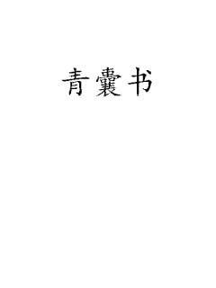 青囊书