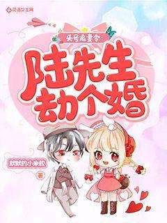 头号追妻令：陆先生劫个婚