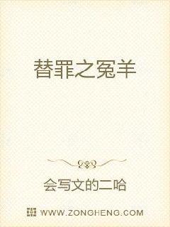 杨宗保与穆桂英三级电子书封面