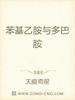 虐奷穆桂英小说电子书封面