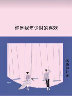 教师杨雪小说电子书封面