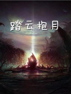 chatroulette中文版