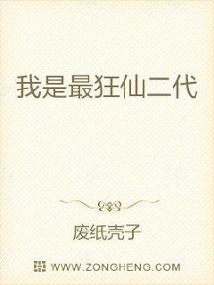男主裴湛是省委书记的小说电子书封面