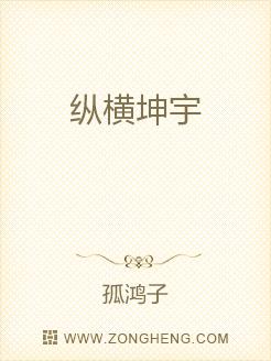 纵横坤宇