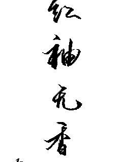 538在线观视频免费观看