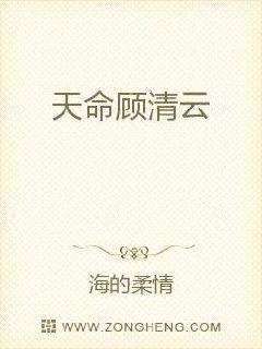 上海端庄的岳电子书封面
