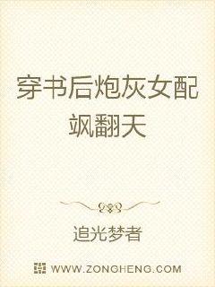 关于刘洋和石丹丹的小说电子书封面