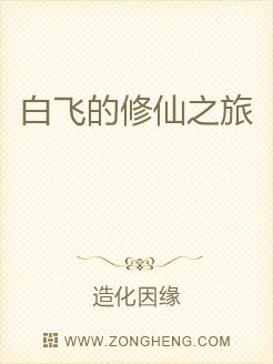 白飞的修仙之旅