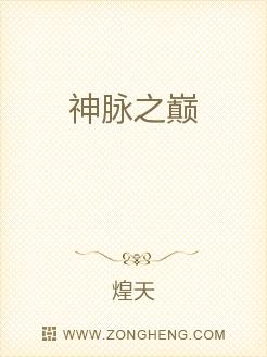 神脉之巅