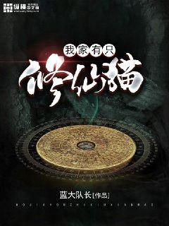 天籁纸鸢天神右翼全文免费阅读