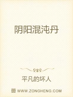 阴阳混沌丹