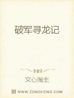 破军寻龙记