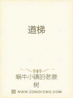 道梯