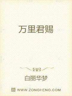 小喜小说在线全文阅读理解电子书封面