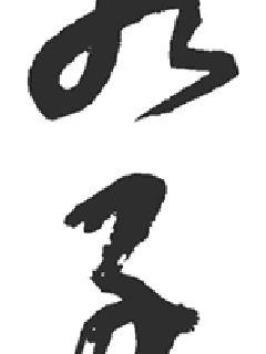 狗九