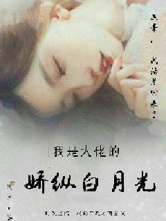 柳惠和小刚小说电子书封面