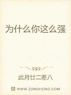 小说主角是叶修刘梅电子书封面