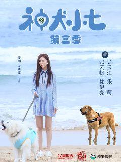 神犬小七第三季