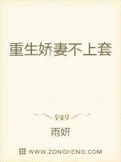 江湖美妇收集录第二版电子书封面