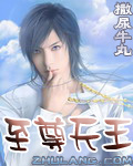 至尊天王(逐浪小说1)无弹窗,至尊天王(逐浪小说