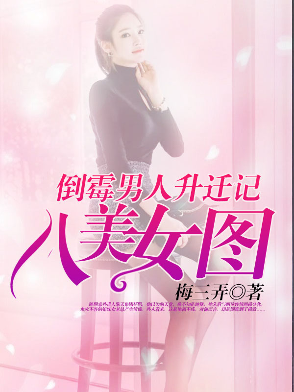 倒霉男人升迁记:八美女图