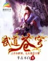 武道苍穹