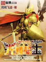 光辉骑士