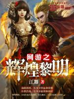 网游之辉煌黎明