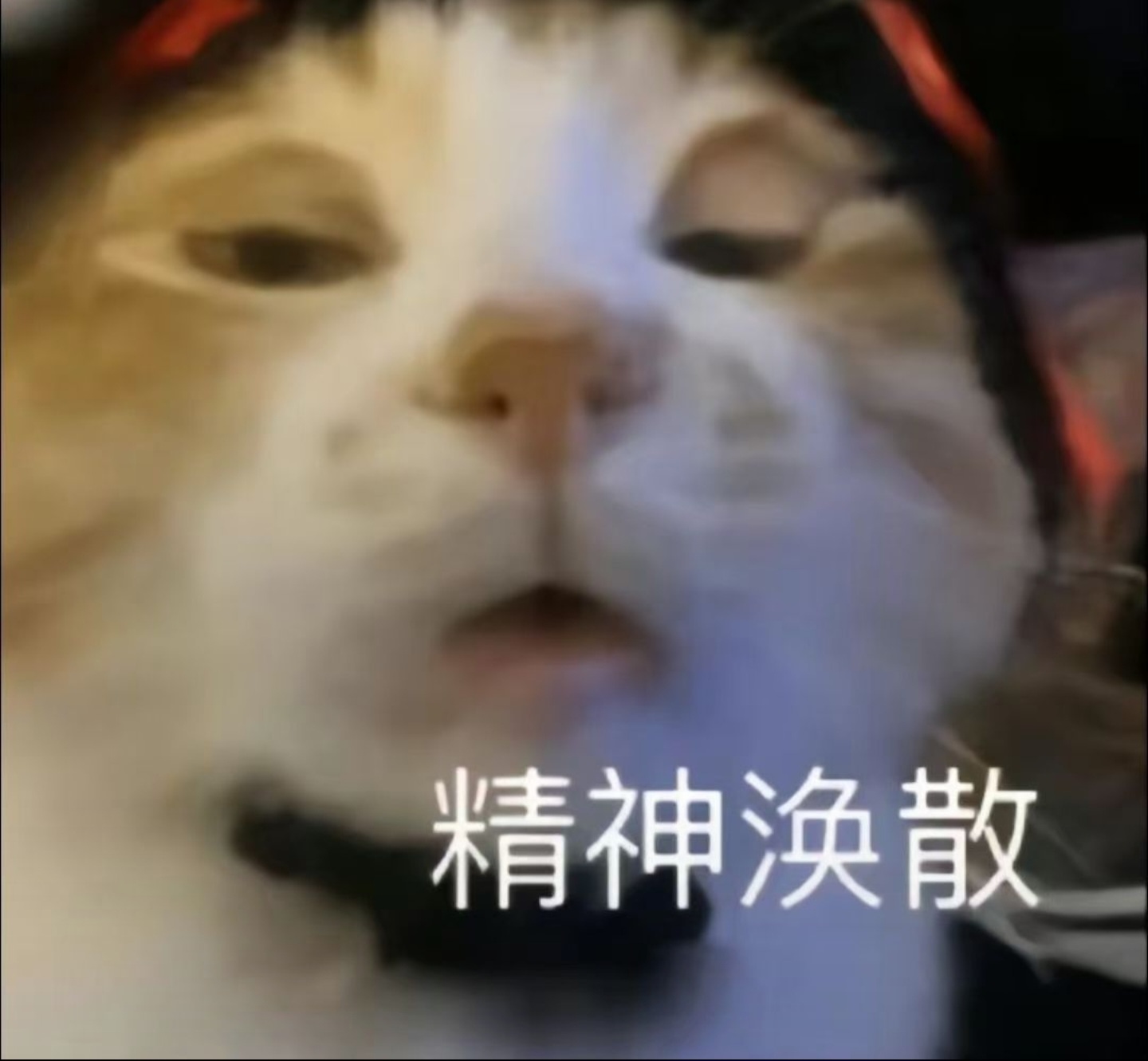 帖子-剑来-纵横中文网