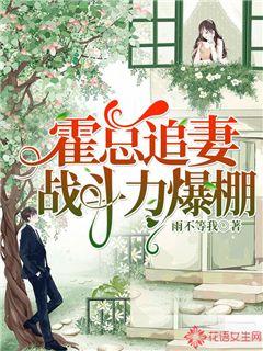 霍总追妻战斗力爆棚
