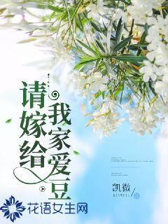 请嫁给我家爱豆