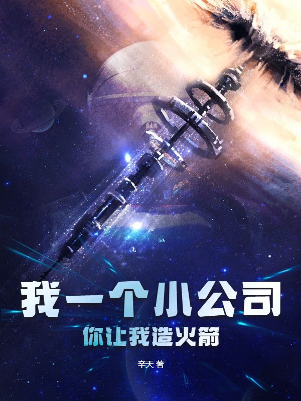 我一个小公司，你让我造火箭？